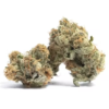 Gelato #41