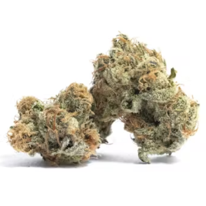 Gelato #41