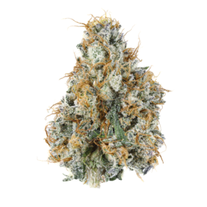 Gary Payton THCa Flower