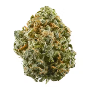 Guava